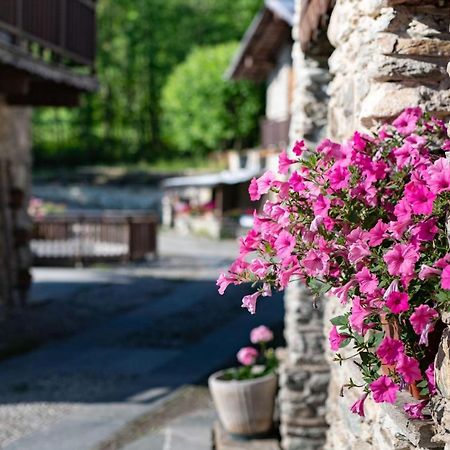 Peveragno Il Sogno Della Vita Agriresort - Country Rooms & Suites מראה חיצוני תמונה