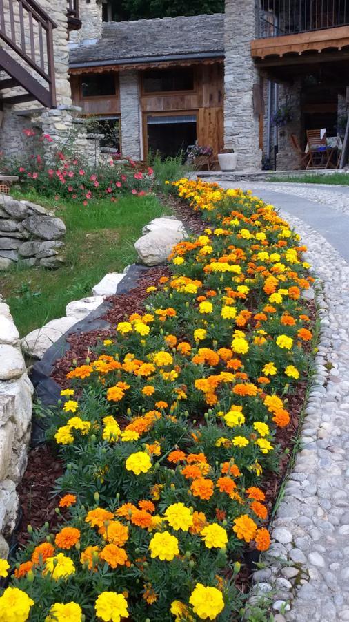 Peveragno Il Sogno Della Vita Agriresort - Country Rooms & Suites מראה חיצוני תמונה